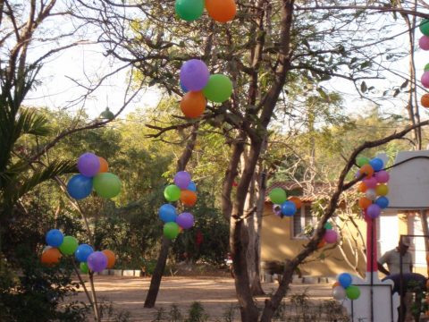 Music Theme Birthday Party