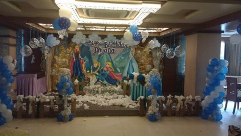 Frozen Theme Birthday Party (1)