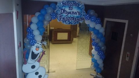 Frozen Theme Birthday Party (4)