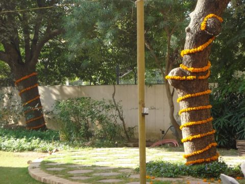 Mehndi function